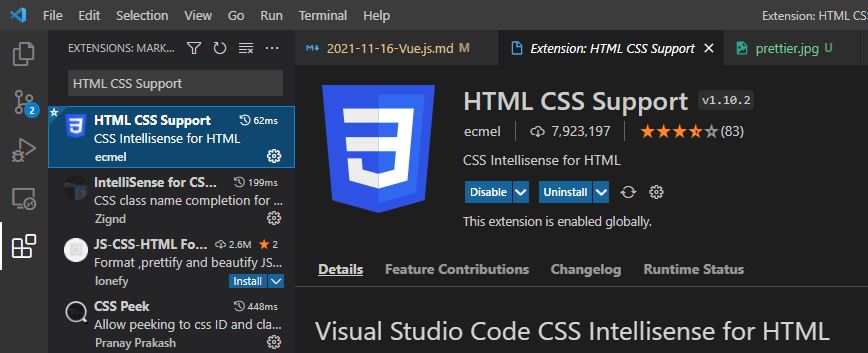 HTML CSS Support